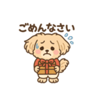 チワワマルチーズハニー（個別スタンプ：29）