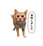 エツのスタンプ13（個別スタンプ：13）