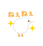 めっちゃかわいいキウイちゃん（夜行性）（個別スタンプ：13）