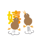 めっちゃかわいいキウイちゃん（夜行性）（個別スタンプ：20）