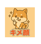 かわいい柴犬の毎日（個別スタンプ：2）