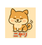 かわいい柴犬の毎日（個別スタンプ：3）
