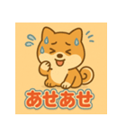 かわいい柴犬の毎日（個別スタンプ：5）