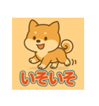 かわいい柴犬の毎日（個別スタンプ：7）