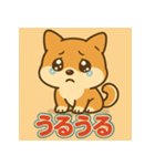 かわいい柴犬の毎日（個別スタンプ：8）