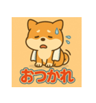 かわいい柴犬の毎日（個別スタンプ：11）