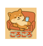 かわいい柴犬の毎日（個別スタンプ：13）