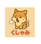 かわいい柴犬の毎日（個別スタンプ：17）