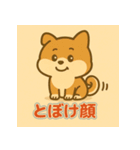 かわいい柴犬の毎日（個別スタンプ：22）
