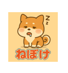 かわいい柴犬の毎日（個別スタンプ：24）