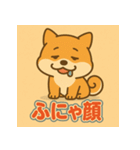かわいい柴犬の毎日（個別スタンプ：27）