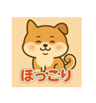 かわいい柴犬の毎日（個別スタンプ：28）
