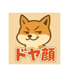 かわいい柴犬の毎日（個別スタンプ：36）