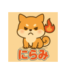 かわいい柴犬の毎日（個別スタンプ：38）