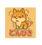 かわいい柴犬の毎日（個別スタンプ：40）
