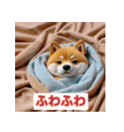 まめまめ豆柴スタンプ（個別スタンプ：29）