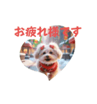 ange⑳（個別スタンプ：1）
