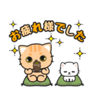 すぐに返信♪即レス便利 #ネコナール2（個別スタンプ：12）