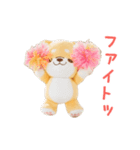 ▶動く！いやしばいぬ❤️ぬいぐるみ❤️敬語（個別スタンプ：11）