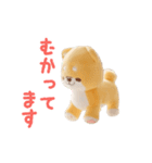▶動く！いやしばいぬ❤️ぬいぐるみ❤️敬語（個別スタンプ：14）