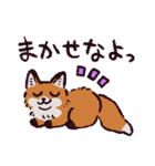 キタキツネです（個別スタンプ：3）