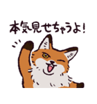 キタキツネです（個別スタンプ：4）