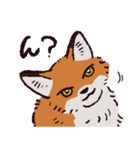 キタキツネです（個別スタンプ：5）
