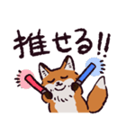キタキツネです（個別スタンプ：11）
