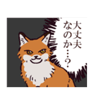 キタキツネです（個別スタンプ：14）