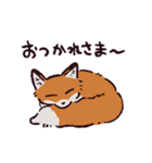 キタキツネです（個別スタンプ：26）