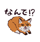 キタキツネです（個別スタンプ：28）