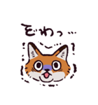 キタキツネです（個別スタンプ：36）