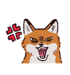 キタキツネです（個別スタンプ：40）
