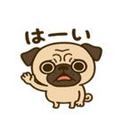 カワぶさいくパグくん（個別スタンプ：1）