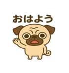 カワぶさいくパグくん（個別スタンプ：5）