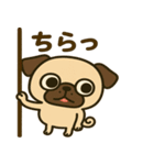 カワぶさいくパグくん（個別スタンプ：16）