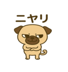 カワぶさいくパグくん（個別スタンプ：19）