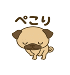 カワぶさいくパグくん（個別スタンプ：24）