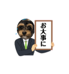 石川家のマロちゃんスタンプ(その7)（個別スタンプ：16）