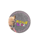 KONAちゃん②（個別スタンプ：3）