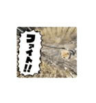 動くこたすた（個別スタンプ：5）