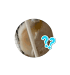 動くこたすた（個別スタンプ：7）