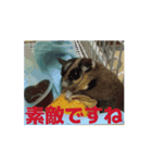 4可愛達の一言メッセージ【小動物たち】（個別スタンプ：8）