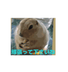 4可愛達の一言メッセージ【小動物たち】（個別スタンプ：11）