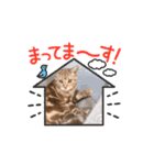 私の相棒は？1（個別スタンプ：3）