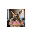 てげbeppin2（個別スタンプ：2）