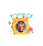 癒しのらら（個別スタンプ：1）