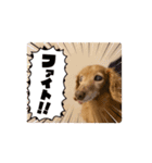 癒しのらら（個別スタンプ：6）