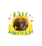 癒しのらら（個別スタンプ：8）
