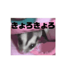 モモンガスタンプver.2（個別スタンプ：2）